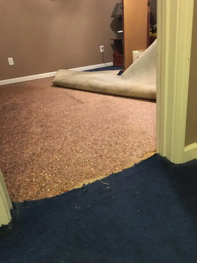 Carpet pad removal revealing water damage during Water Mitigation Services in South Apopka