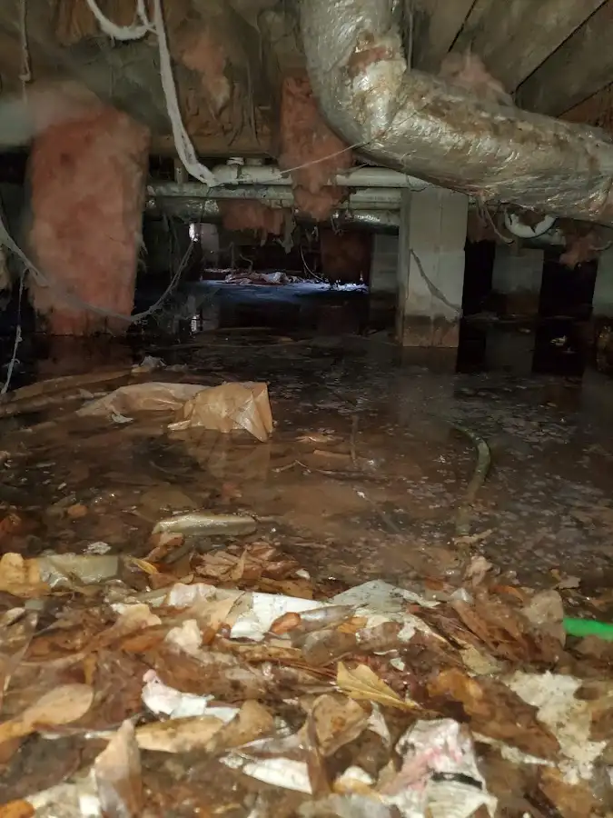 Crawl space flood assessment for Commercial Water Damage Restoration in South Apopka