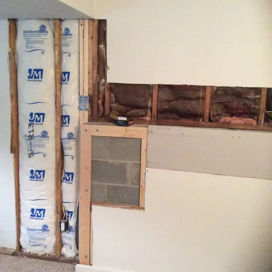 Wall insulation replacement during Odor Removal & Deodorization in South Apopka